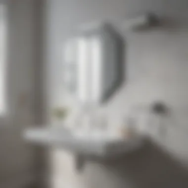 Diagram showcasing different types of bathroom extractors