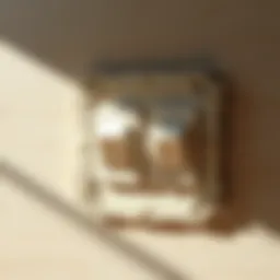 Illustration of a dual switch for bathroom fan and light control