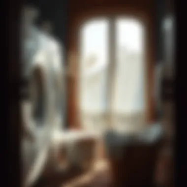 Eco-Friendly Laundry Practices for a Sustainable Future Eco-friendly laundry practices with detergent